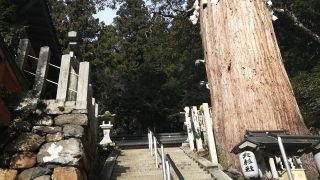 京都女ひとり旅旅行記 ジョーニー